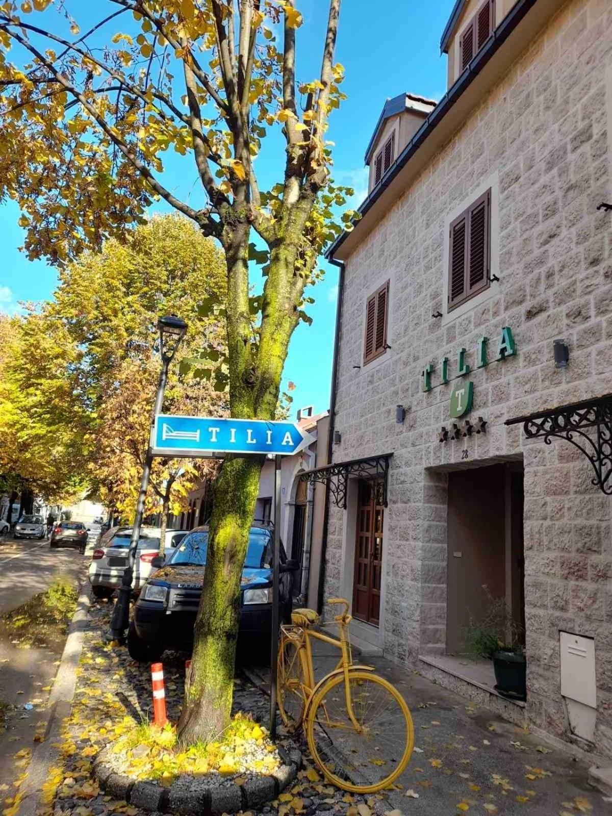 מלון סטינג'ה Tilia מראה חיצוני תמונה